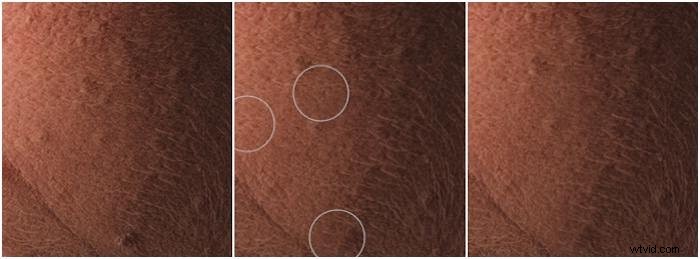 Expert Guide: How to Smooth Skin Flawlessly in Lightroom