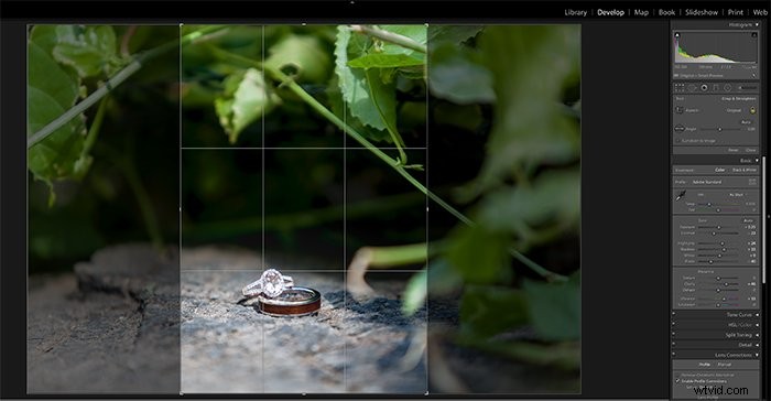 Master Macro Photo Editing in Lightroom: Pro Tips for Stunning Results