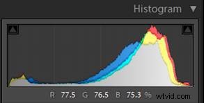 Mastering the Lightroom Histogram: Essential Guide to Interpretation and Editing