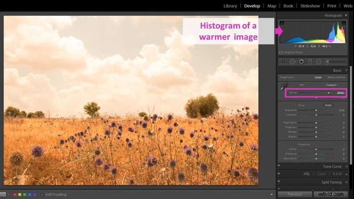 Mastering the Lightroom Histogram: Essential Guide to Interpretation and Editing