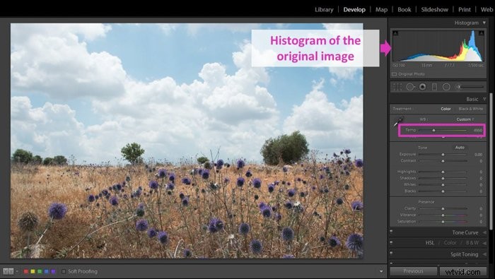 Mastering the Lightroom Histogram: Essential Guide to Interpretation and Editing