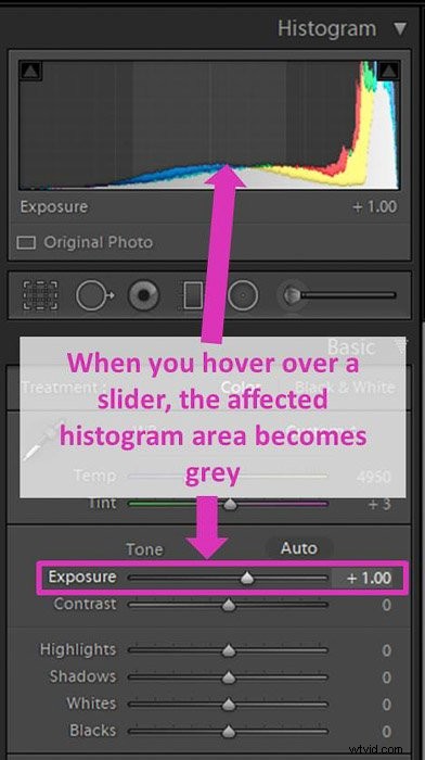 Mastering the Lightroom Histogram: Essential Guide to Interpretation and Editing