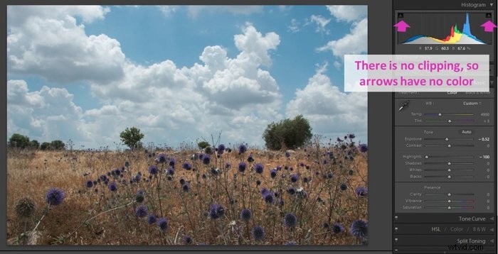 Mastering the Lightroom Histogram: Essential Guide to Interpretation and Editing