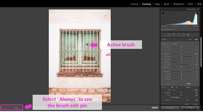 Master Lightroom s Adjustment Brush: Step-by-Step Guide to Precise Photo Edits