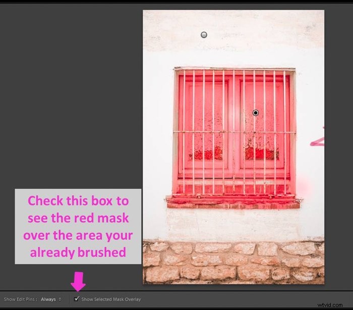 Master Lightroom s Adjustment Brush: Step-by-Step Guide to Precise Photo Edits