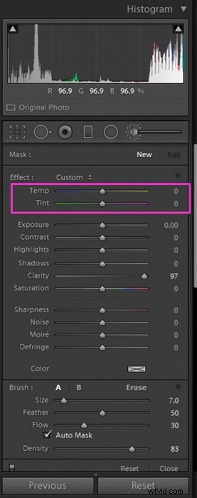 Master Lightroom s Adjustment Brush: Step-by-Step Guide to Precise Photo Edits