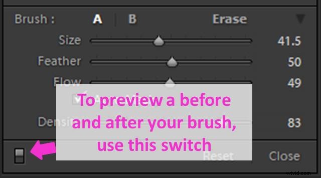 Master Lightroom s Adjustment Brush: Step-by-Step Guide to Precise Photo Edits