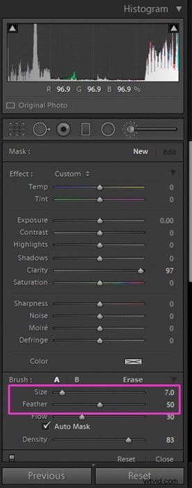 Master Lightroom s Adjustment Brush: Step-by-Step Guide to Precise Photo Edits