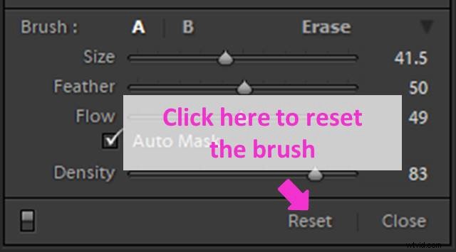 Master Lightroom s Adjustment Brush: Step-by-Step Guide to Precise Photo Edits