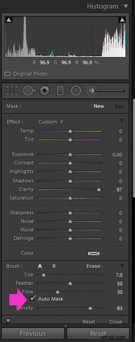 Master Lightroom s Adjustment Brush: Step-by-Step Guide to Precise Photo Edits