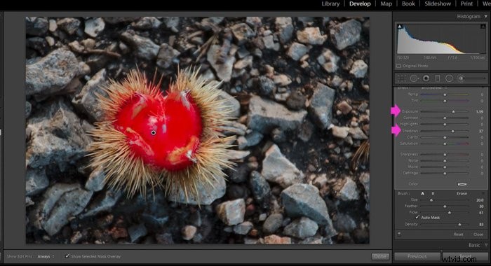 Master Lightroom s Adjustment Brush: Step-by-Step Guide to Precise Photo Edits