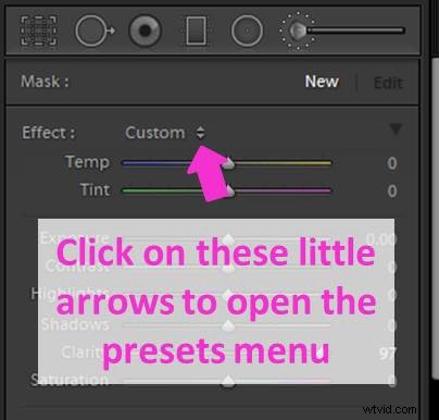 Master Lightroom s Adjustment Brush: Step-by-Step Guide to Precise Photo Edits