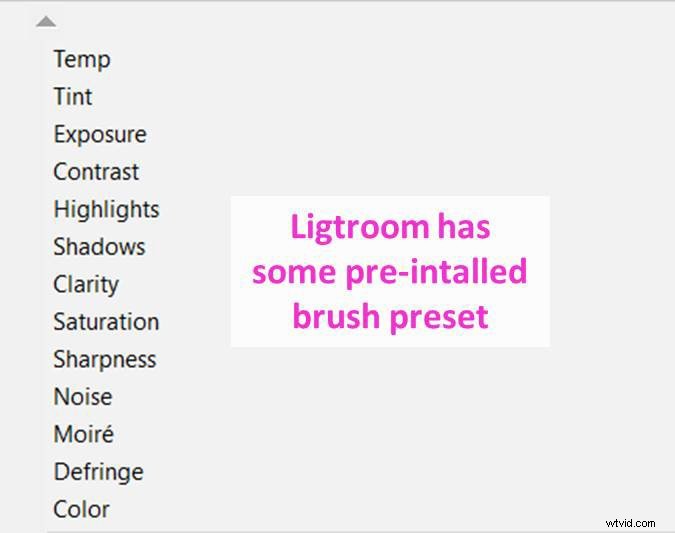 Master Lightroom s Adjustment Brush: Step-by-Step Guide to Precise Photo Edits