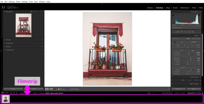 Master Sepia Toning: Create Vintage Images In-Camera and in Lightroom