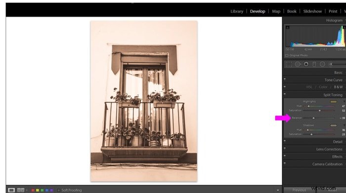 Master Sepia Toning: Create Vintage Images In-Camera and in Lightroom