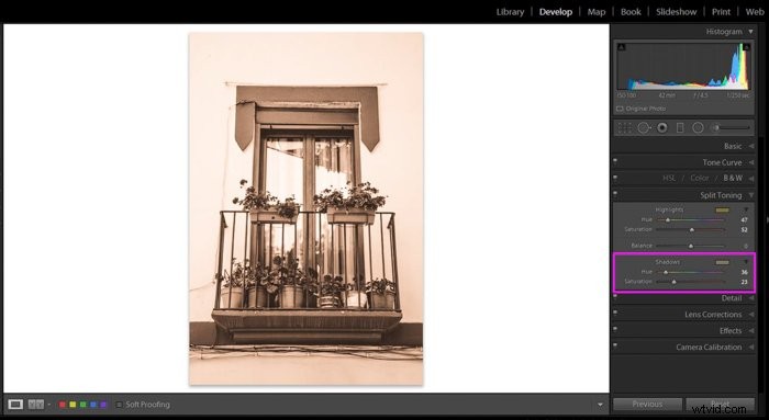 Master Sepia Toning: Create Vintage Images In-Camera and in Lightroom