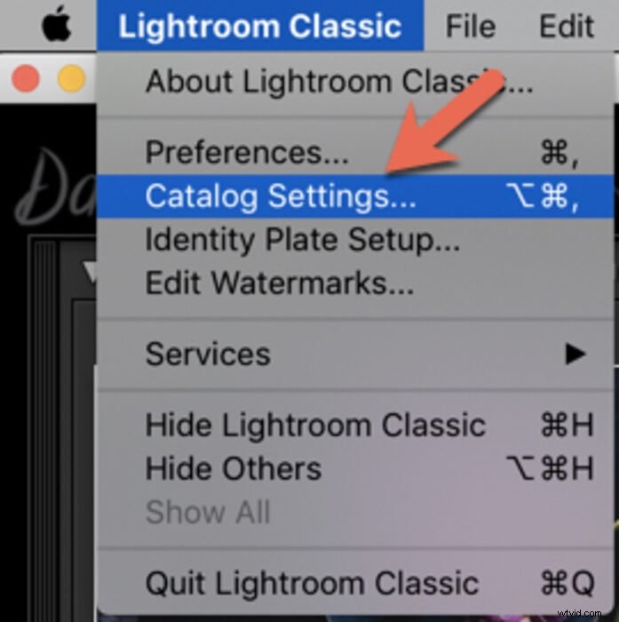 How to Safely Back Up Your Lightroom Catalog: Step-by-Step Guide