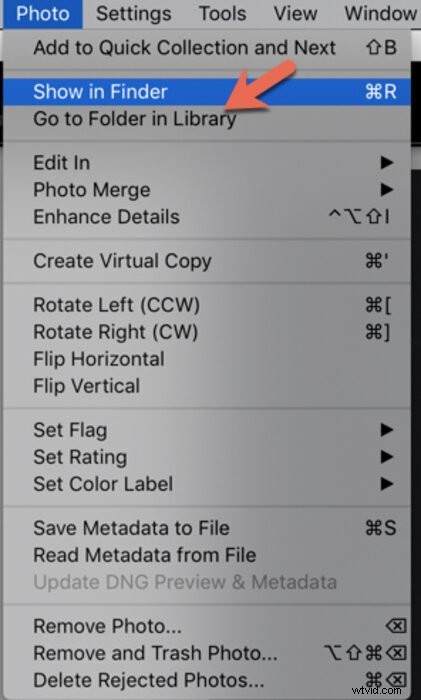 How to Safely Back Up Your Lightroom Catalog: Step-by-Step Guide