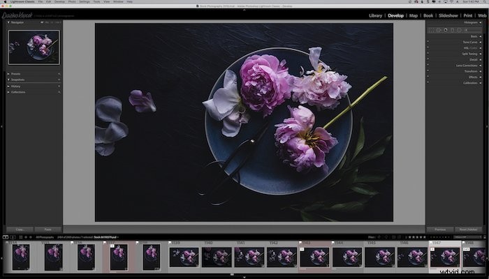 How to Safely Back Up Your Lightroom Catalog: Step-by-Step Guide