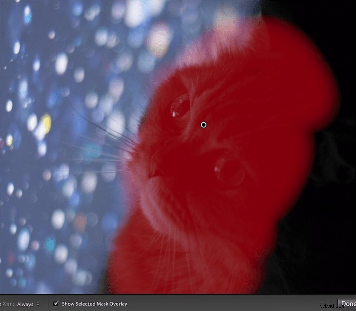 How to Sharpen Blurry Images in Lightroom: Easy Step-by-Step Guide