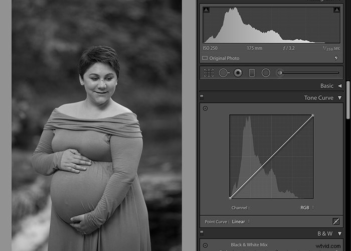Master the Matte Photo Effect: Easy Step-by-Step Guide in Lightroom