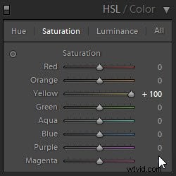 Master HSL Color Sliders in Adobe Lightroom: Step-by-Step Guide