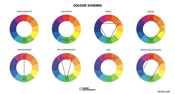 Mastering Contrast in Photography: Definition, Techniques & Pro Tips for Stunning Shots