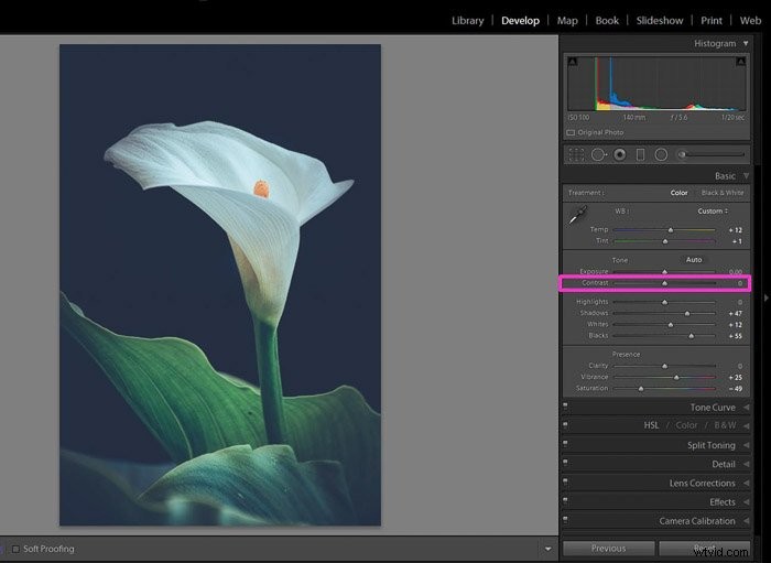 Mastering Contrast in Photography: Definition, Techniques & Pro Tips for Stunning Shots
