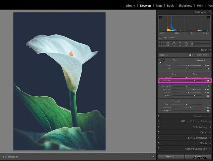 Mastering Contrast in Photography: Definition, Techniques & Pro Tips for Stunning Shots