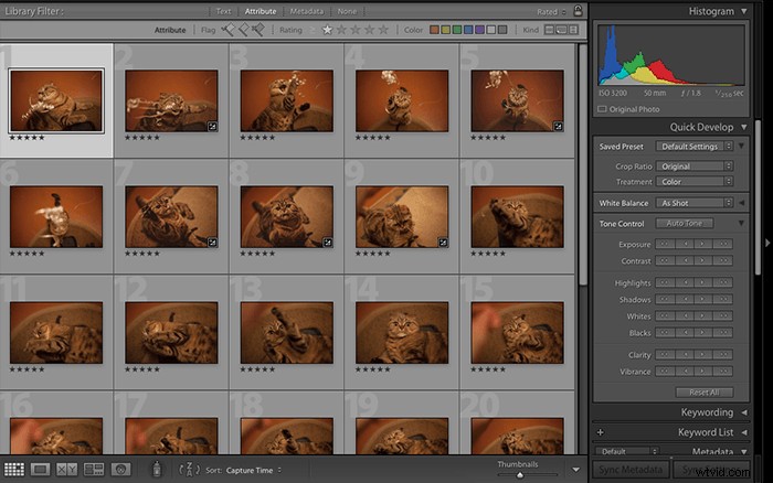 Capture One vs. Lightroom: In-Depth Comparison to Choose the Best Photo Editor