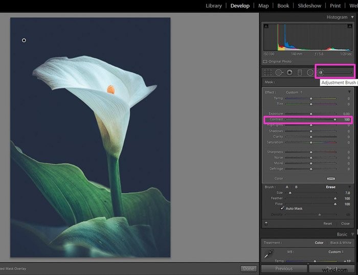 Mastering Contrast in Photography: Definition, Techniques & Pro Tips for Stunning Shots