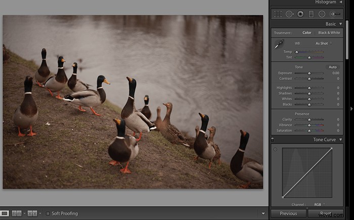 Capture One vs. Lightroom: In-Depth Comparison to Choose the Best Photo Editor