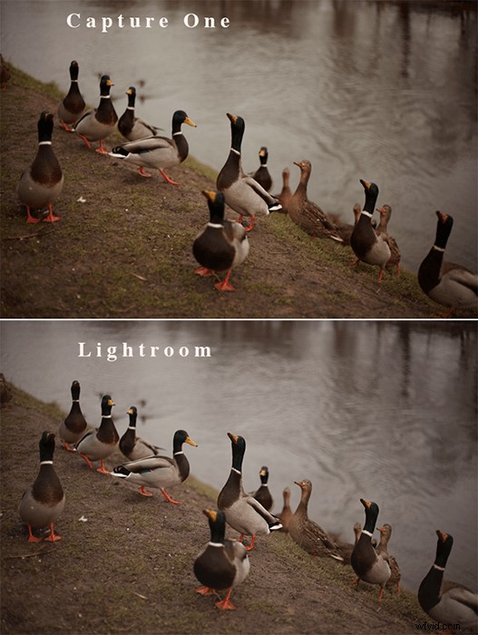 Capture One vs. Lightroom: In-Depth Comparison to Choose the Best Photo Editor