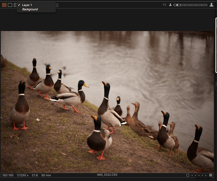 Capture One vs. Lightroom: In-Depth Comparison to Choose the Best Photo Editor