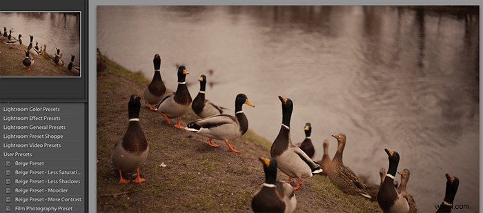 Capture One vs. Lightroom: In-Depth Comparison to Choose the Best Photo Editor