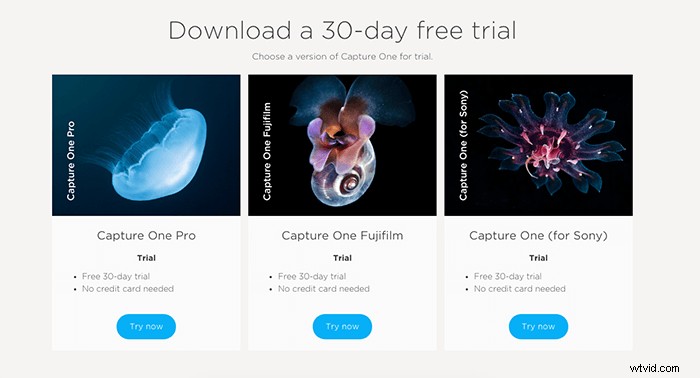 Capture One vs. Lightroom: In-Depth Comparison to Choose the Best Photo Editor