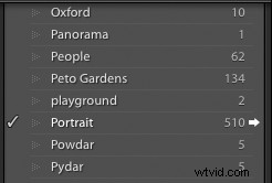 Master Portrait Editing in Lightroom: Essential Beginner Tips
