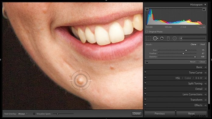 Master Portrait Editing in Lightroom: Essential Beginner Tips