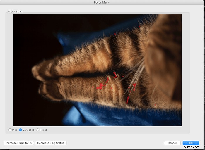 22 Essential Lightroom Plugins to Supercharge Your Photography Workflow