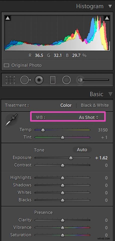 Master White Balance Adjustment in Lightroom: Step-by-Step Guide