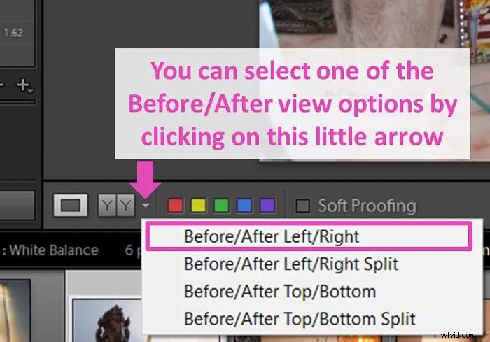 Master White Balance Adjustment in Lightroom: Step-by-Step Guide