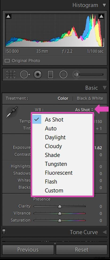 Master White Balance Adjustment in Lightroom: Step-by-Step Guide
