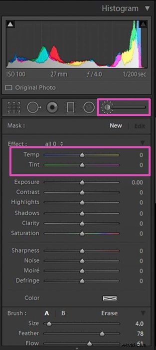 Master White Balance Adjustment in Lightroom: Step-by-Step Guide