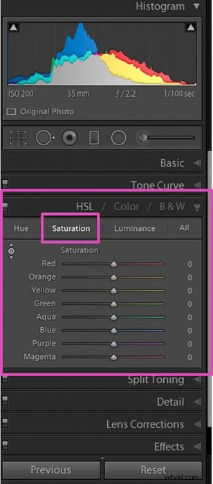 Master White Balance Adjustment in Lightroom: Step-by-Step Guide