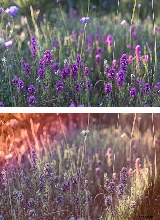 10 Must-Try Photo Editing Styles for Stunning Results