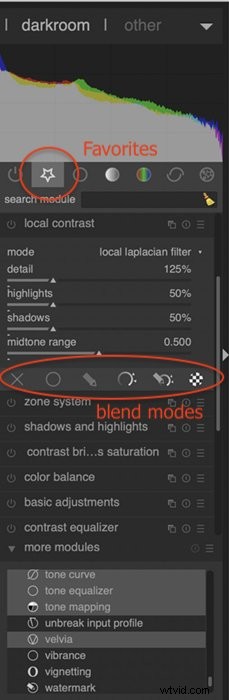 Darktable vs Lightroom: Is the Free Editor a True Alternative?