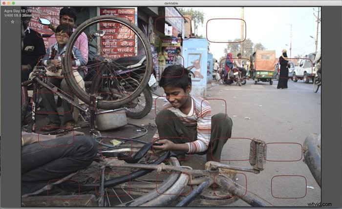 Darktable vs Lightroom: Is the Free Editor a True Alternative?