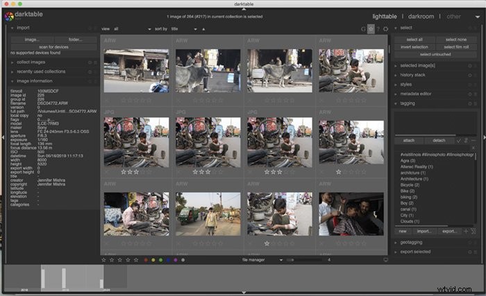 Darktable vs Lightroom: Is the Free Editor a True Alternative?