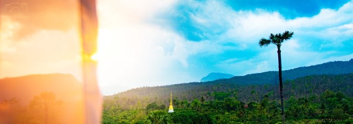 Easy Step-by-Step Guide: Create Professional Watermarks for Photos in Photoshop & Lightroom