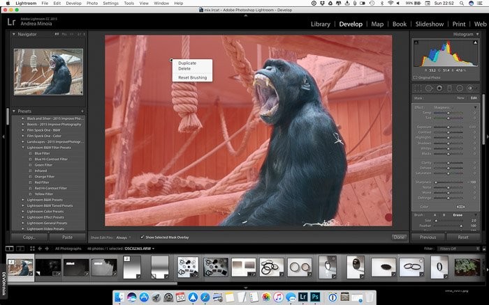 Effortlessly Blur Photo Backgrounds in Lightroom: Step-by-Step Guide